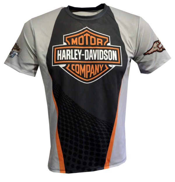 Harley Davidson (2)